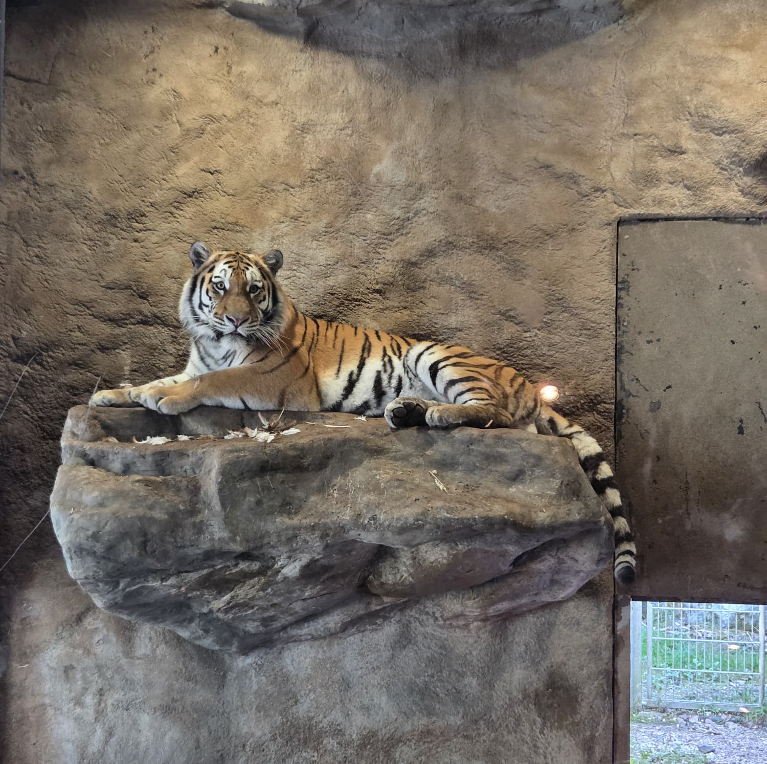 Ausflug in den Walter Zoo